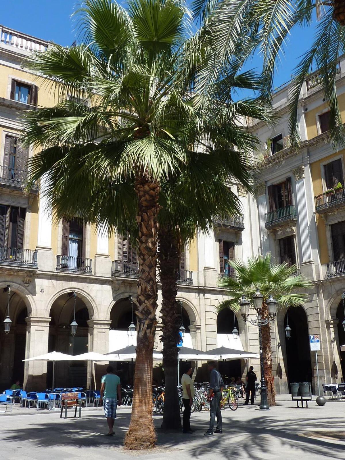 Roma Reial Hotel Barcelona Bagian luar foto